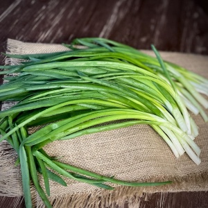 Лук зеленый