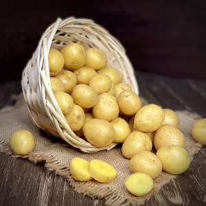 Картофель беби