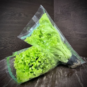 Салат тепличный