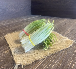 Черемша 1 шт