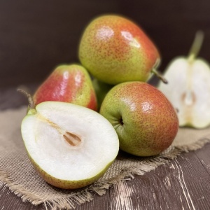 Груша Форель