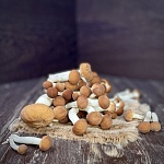 Грибы опята 200 г