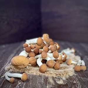 Грибы опята 200 г