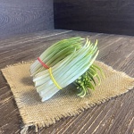 Черемша 1 шт