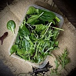 Салатный микс «Здоровье 360» 75 г