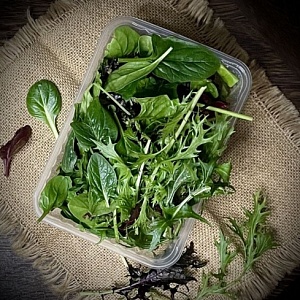 Салатный микс «Здоровье 360» 75 г